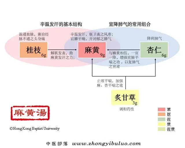 麻黄汤