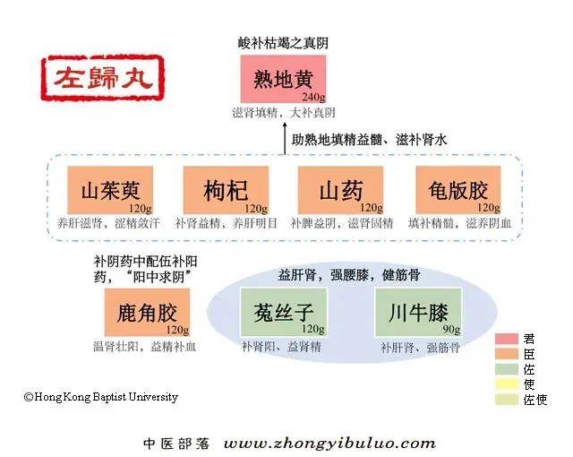 左归丸