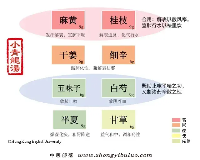 小青龙汤