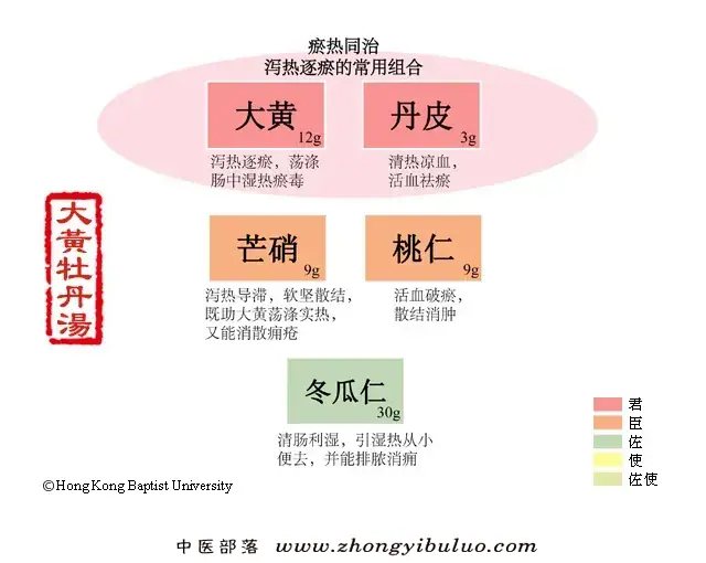 大黄牡丹汤 - 图片1