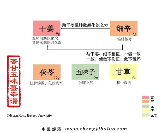 苓甘五味姜辛汤