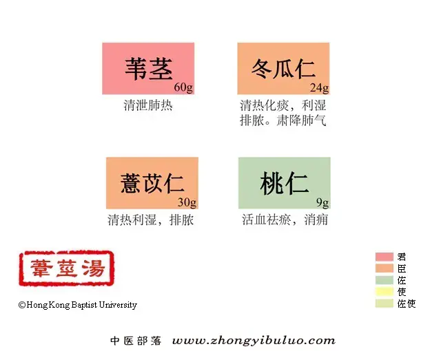 苇茎汤