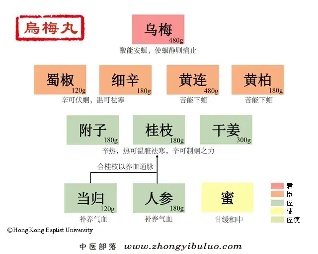 乌梅丸