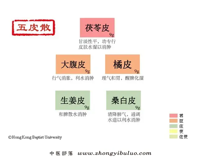 五皮散