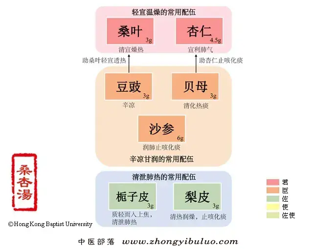 桑杏汤