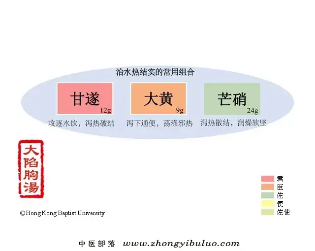 大陷胸汤 - 图片1