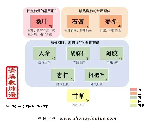 清燥救肺汤