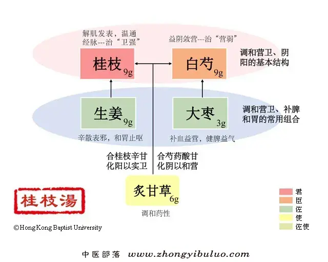 桂枝汤