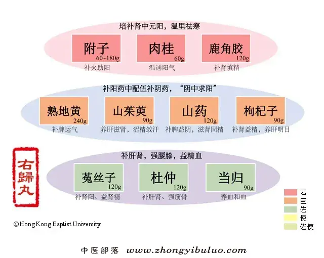 右归丸