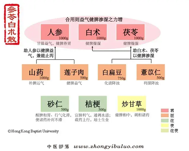参苓白术散